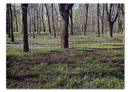 Заказать пазл в Москве. Пазл 43.5x31.4 см (408 элементов) Весенний лес. от Eva De Peron.  - готовые дизайны и нанесение принтов.