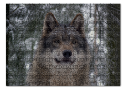 Заказать пазл в Москве. Пазл 43.5x31.4 см (408 элементов) Волк в лесу от weeert - готовые дизайны и нанесение принтов.