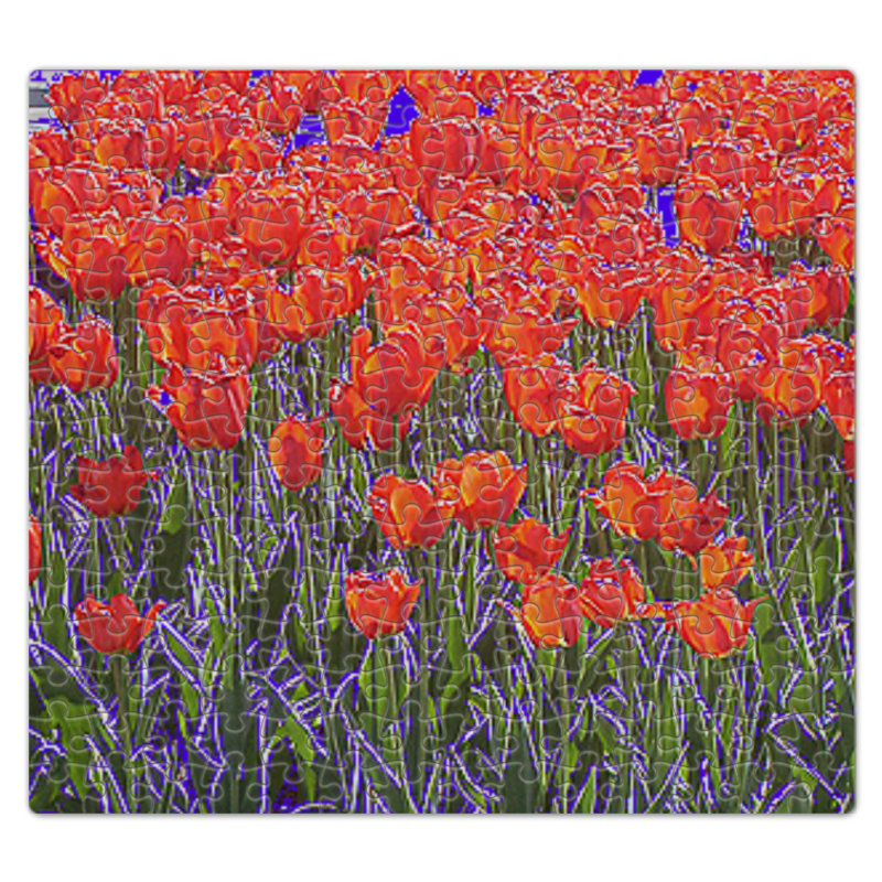 Printio Пазл магнитный 27.4×30.4 см (210 элементов) Алые тюльпаны. цена и фото