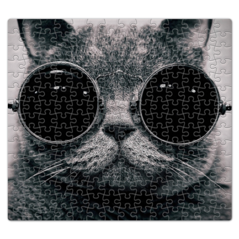 Printio Пазл магнитный 27.4×30.4 см (210 элементов) Кот в очках