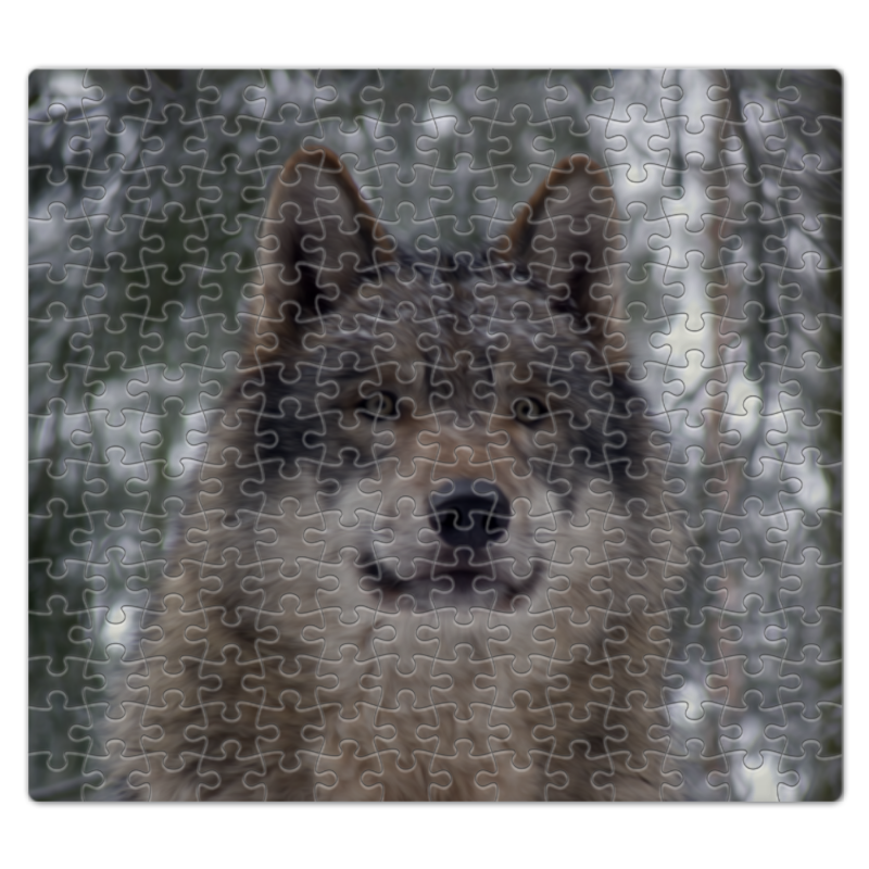 Printio Пазл магнитный 27.4×30.4 см (210 элементов) Волк в лесу printio пазл магнитный 27 4×30 4 см 210 элементов волки фэнтези седой волк