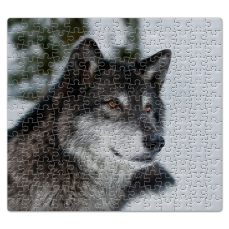 Printio Пазл магнитный 27.4×30.4 см (210 элементов) Серый волк
