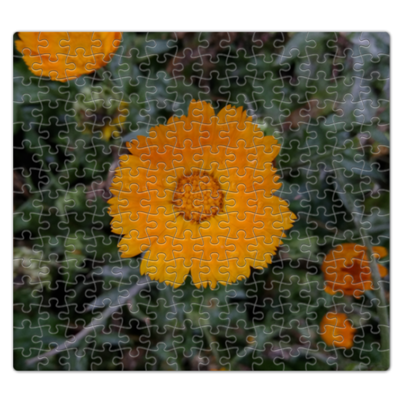 Printio Пазл магнитный 27.4×30.4 см (210 элементов) Летние цветы