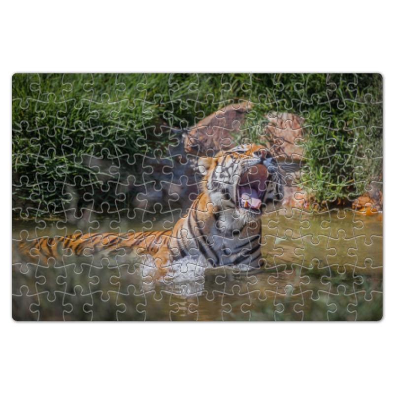 Printio Пазл магнитный 18×27 см (126 элементов) Свирепый тигр пазл тм origami 2022 год тигра пазл 360 хозяин джунглей 475х475мм деталь 40х28мм 06619