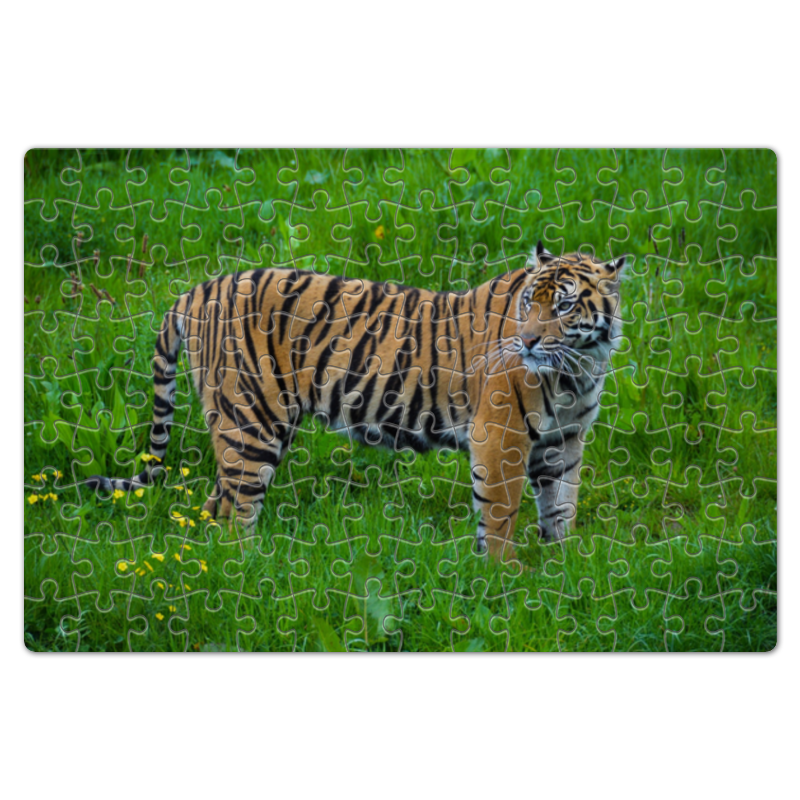 Printio Пазл магнитный 18×27 см (126 элементов) Tiger