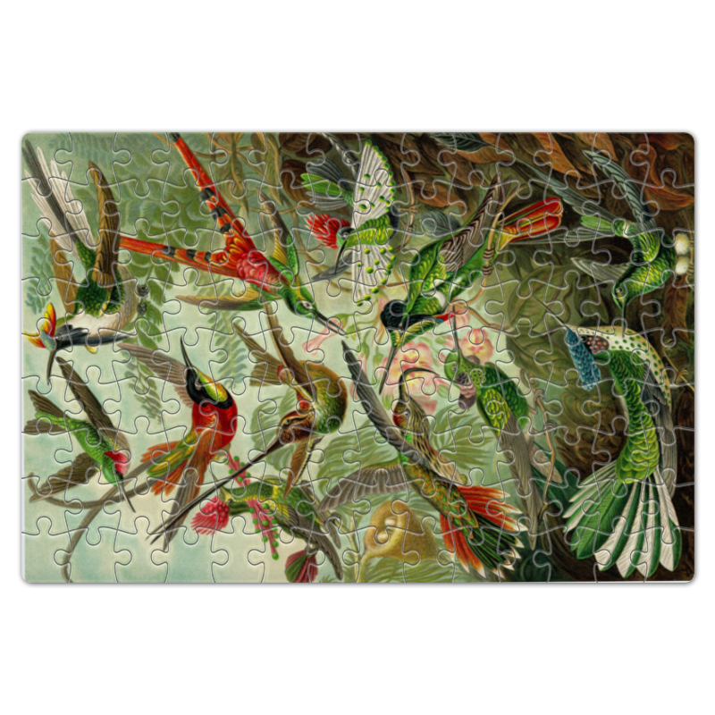 Printio Пазл магнитный 18×27 см (126 элементов) Колибри (trochilidae, ernst haeckel)