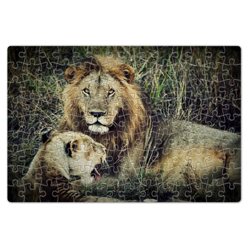 Printio Пазл магнитный 18×27 см (126 элементов) Лев и львица 679 лев и львица
