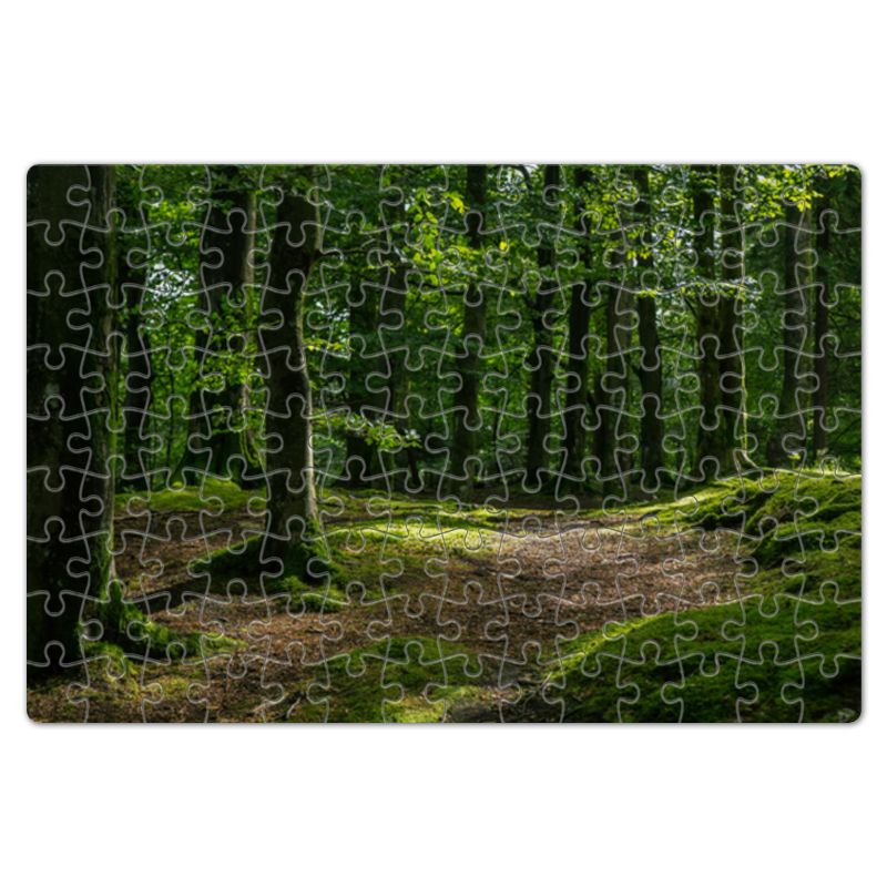 Printio Пазл магнитный 18×27 см (126 элементов) Прогулка в лесу цена и фото