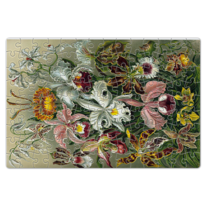 Printio Пазл магнитный 18×27 см (126 элементов) Орхидеи (orchideae, ernst haeckel)