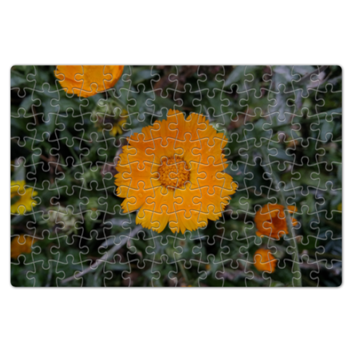 Заказать пазл в Москве. Пазл магнитный 18x27 см (126 элементов) Летние цветы от FireFoxa - готовые дизайны и нанесение принтов.