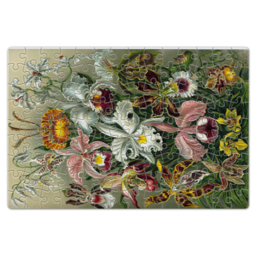 Заказать пазл в Москве. Пазл магнитный 18x27 см (126 элементов) Орхидеи (Orchideae, Ernst Haeckel) от Apfelbaum - готовые дизайны и нанесение принтов.