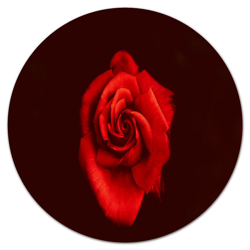 цена Printio Коврик для мышки (круглый) Красная роза