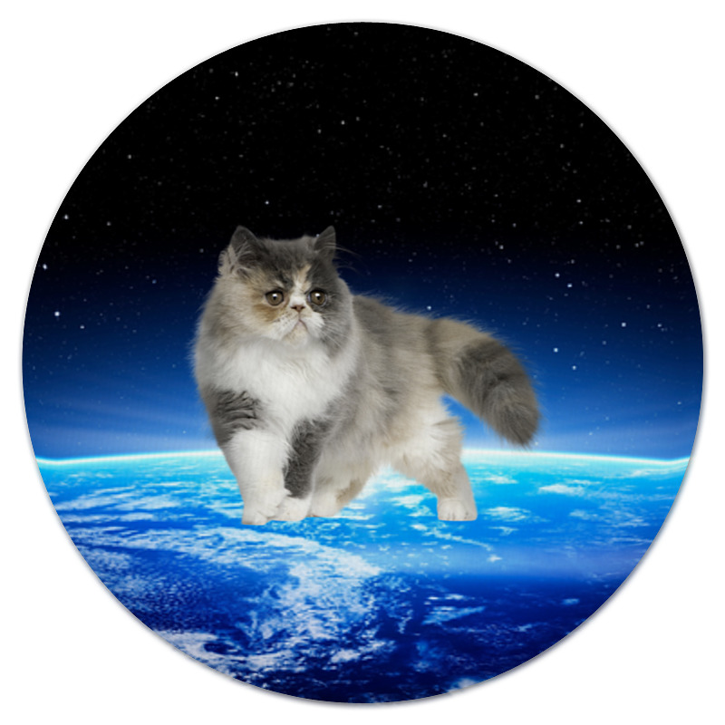 Printio Коврик для мышки (круглый) Кот в космосе printio коврик для мышки круглый кошки в космосе