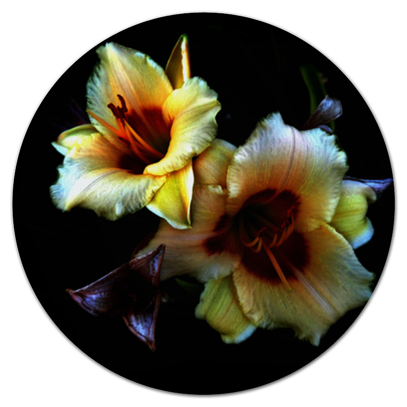 Printio Коврик для мышки (круглый) Лилии printio кружка лилии mug lilies