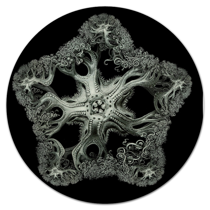 Printio Коврик для мышки (круглый) Astrophyton darwinium эрнста геккеля