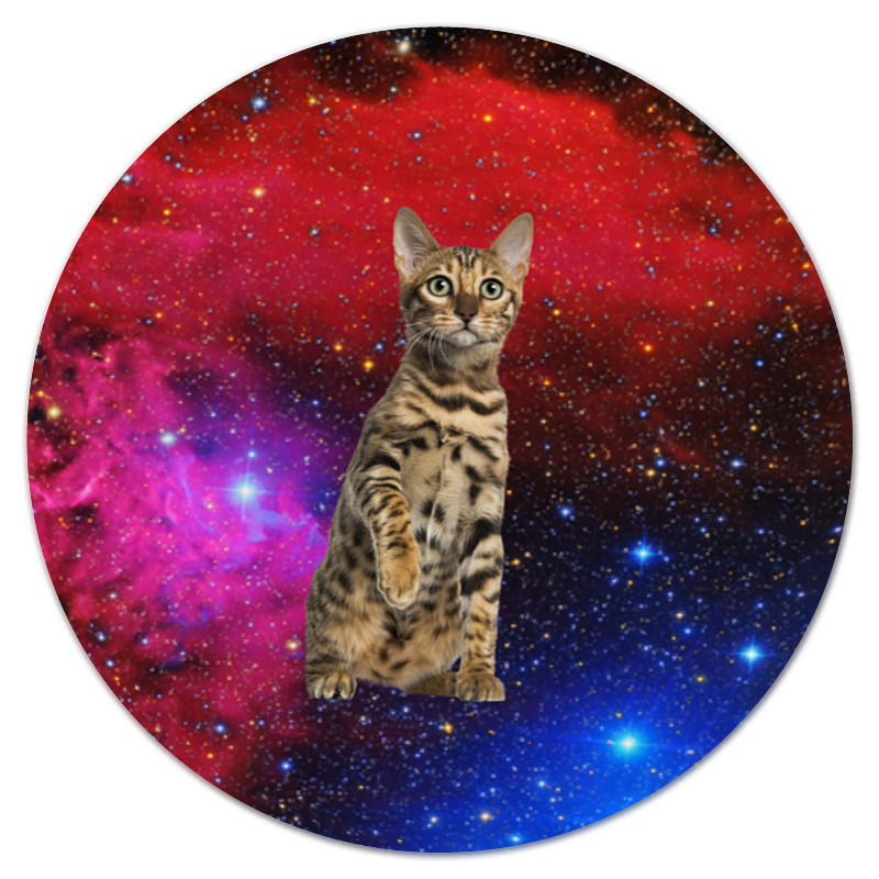 Printio Коврик для мышки (круглый) Кот в космосе printio коврик для мышки круглый кошки в космосе
