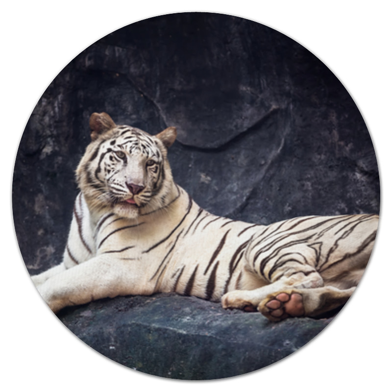 printio коврик для мышки круглый огненный тигр Printio Коврик для мышки (круглый) Белый тигр