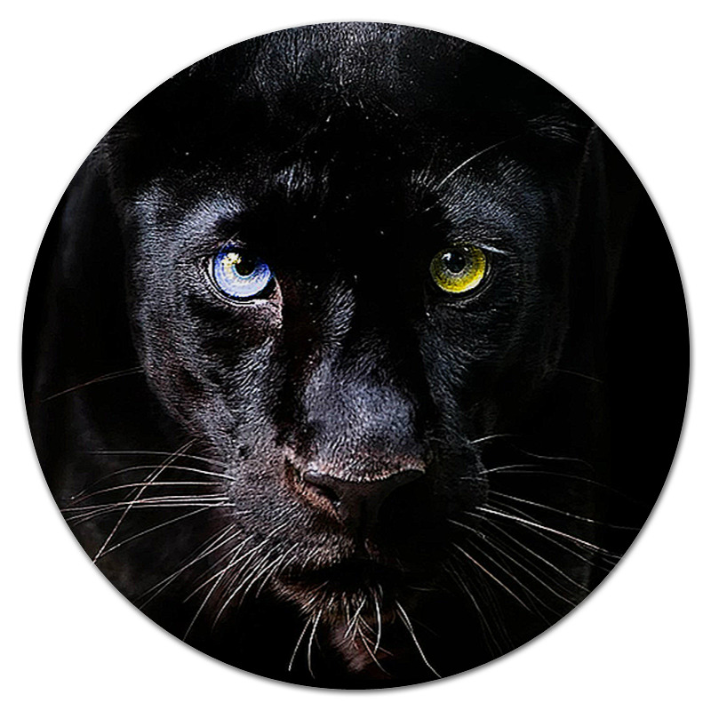 Printio Коврик для мышки (круглый) Пантера. живая природа printio коврик для мышки круглый леопард живая природа