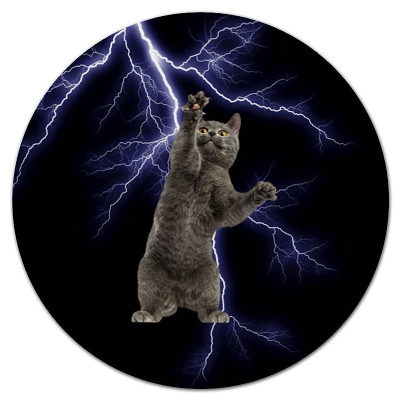 Printio Коврик для мышки (круглый) Кот и молния