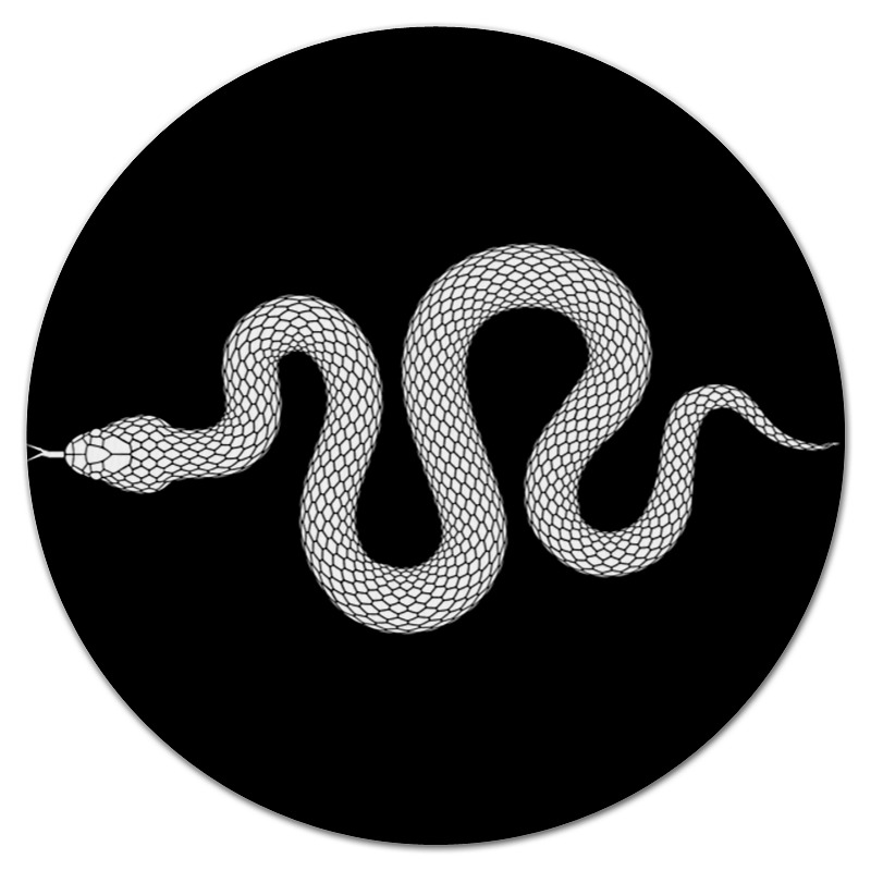 Printio Коврик для мышки (круглый) Белая змея.