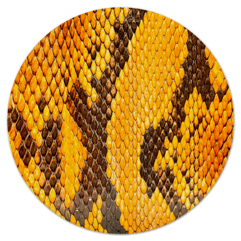 Python print пробелы. Круглый питон. резиновый питон. коврик для мышки python. принт в питоне.