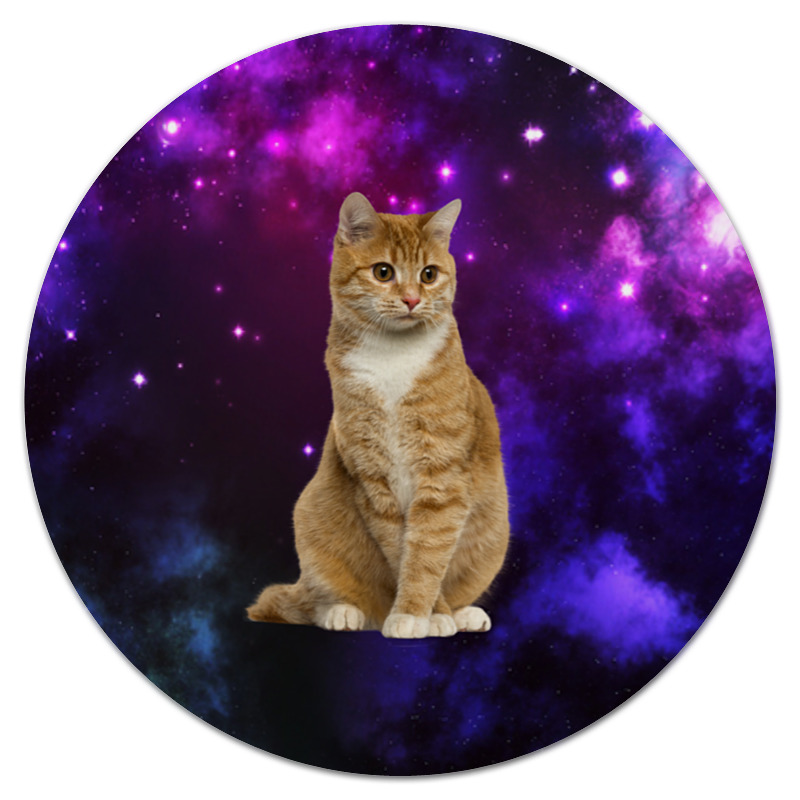 Printio Коврик для мышки (круглый) Кот в космосе