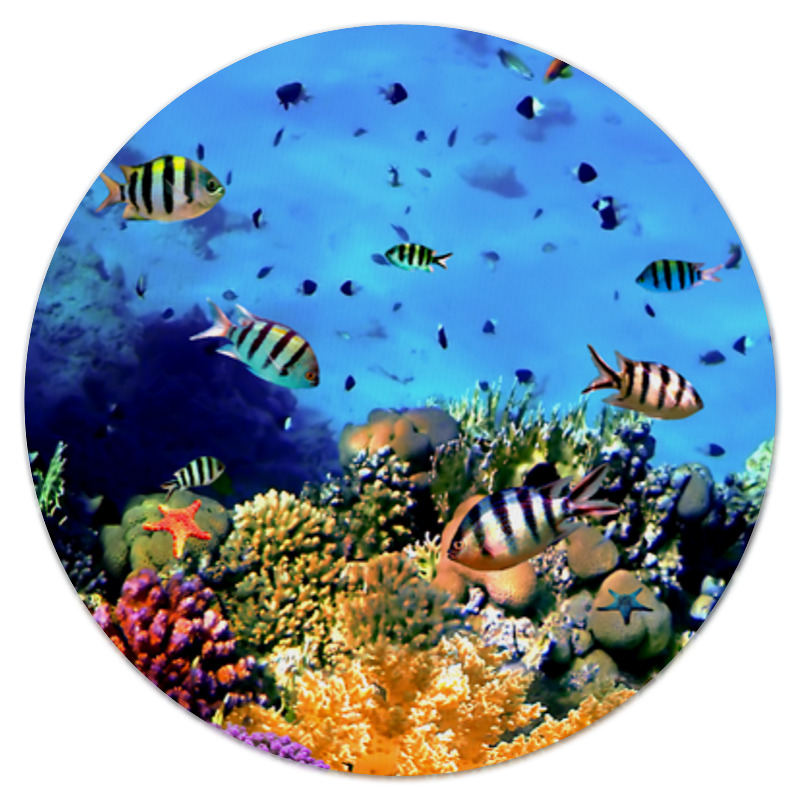 Printio Коврик для мышки (круглый) Морской риф