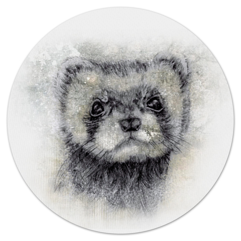 printio футболка с полной запечаткой мужская рисунок животного хорька Printio Коврик для мышки (круглый) Рисунок животного хорька.