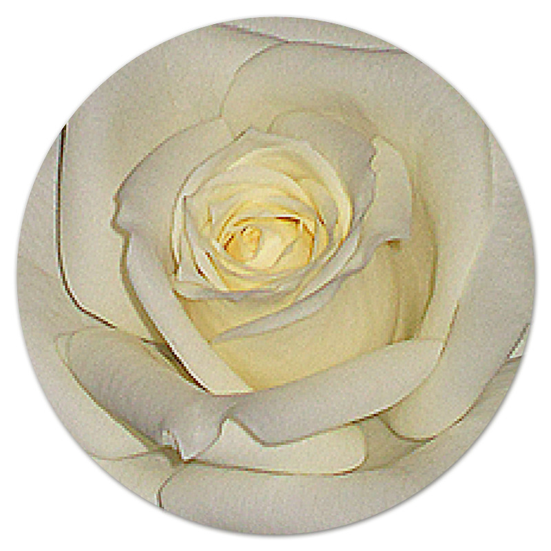 Printio Коврик для мышки (круглый) Белая роза.