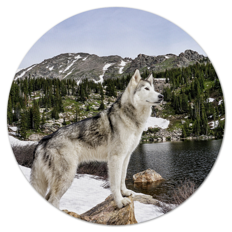 Printio Коврик для мышки (круглый) Волк в горах силиконовый чехол волк в горах на meizu m5 note мейзу м5 нот