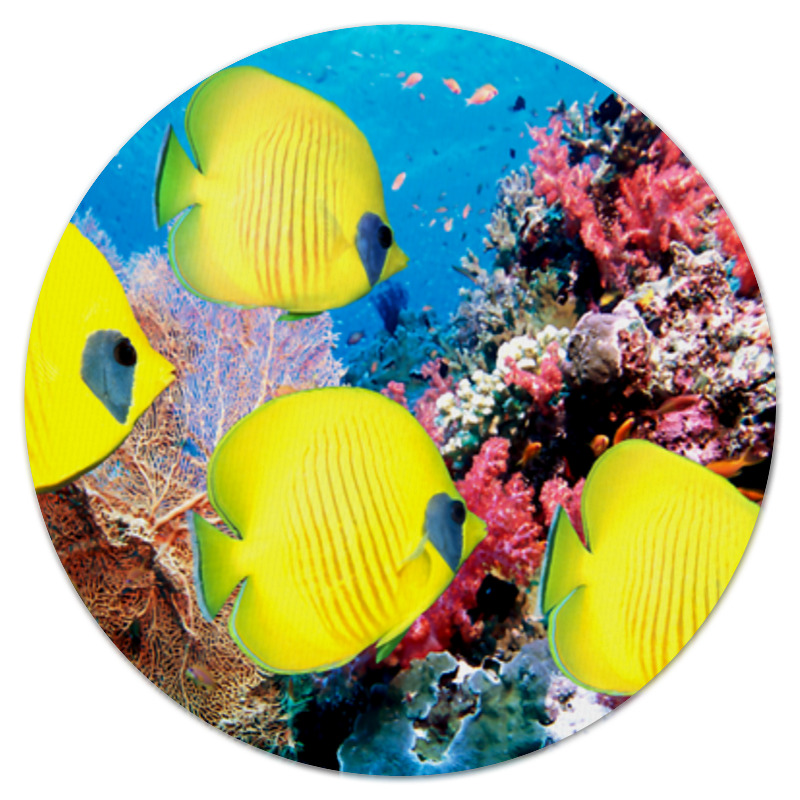Printio Коврик для мышки (круглый) Морской риф