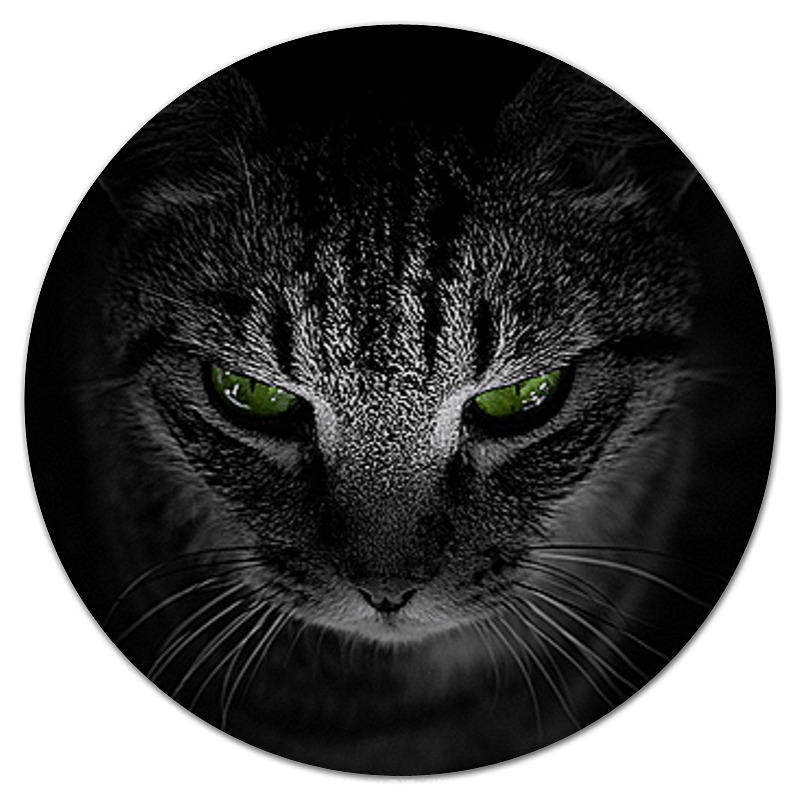 Printio Коврик для мышки (круглый) Кошки. магия красоты