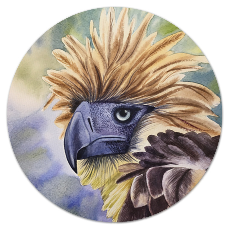 Printio Коврик для мышки (круглый) Филиппинский орел