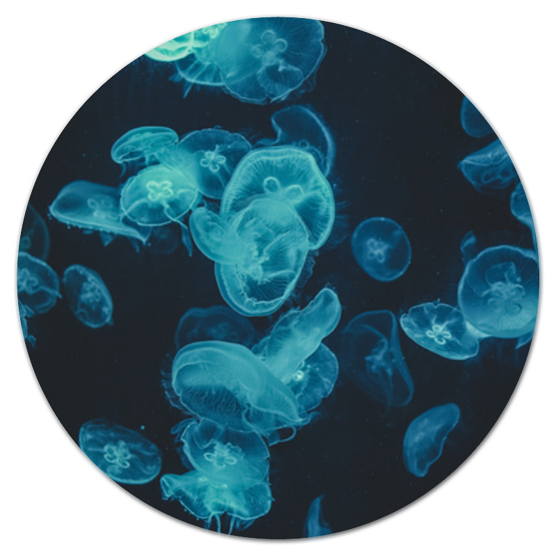 цена Printio Коврик для мышки (круглый) Морские медузы