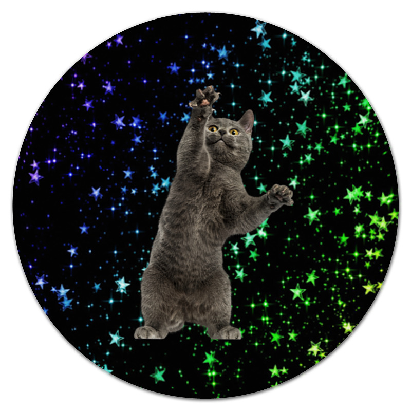 Printio Коврик для мышки (круглый) кот и звезды