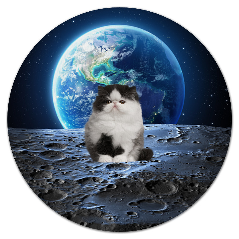 Printio Коврик для мышки (круглый) Кот в космосе