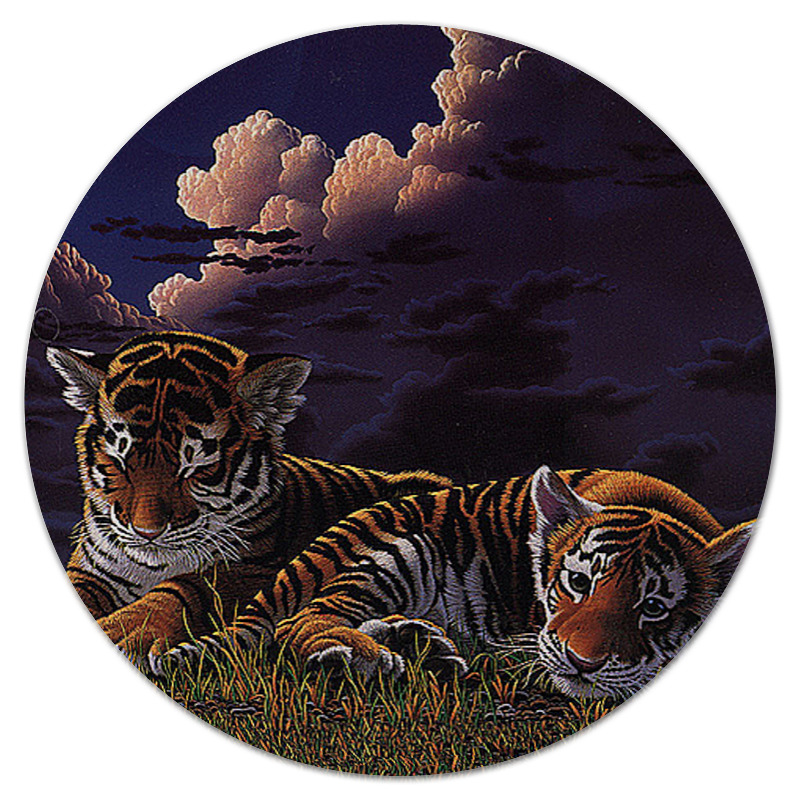 Printio Коврик для мышки (круглый) Тигры