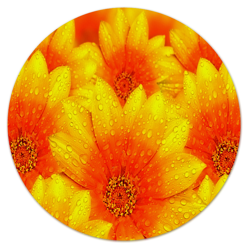 Printio Коврик для мышки (круглый) Желтые цветы