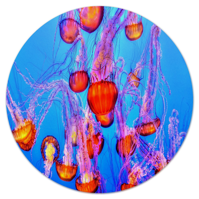 Printio Коврик для мышки (круглый) Медузы printio коврик для мышки морские медузы