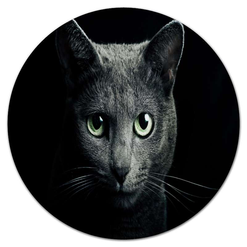 цена Printio Коврик для мышки (круглый) Серый кот