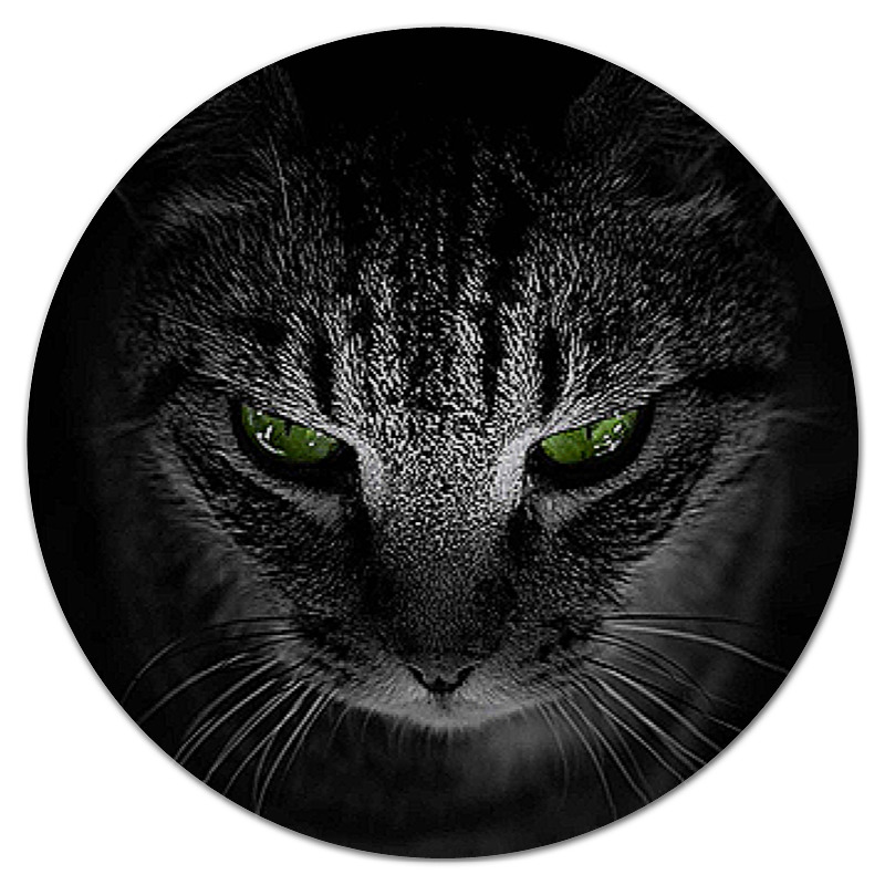 Printio Коврик для мышки (круглый) Кошки. магия красоты printio коврик для мышки кошки магия красоты
