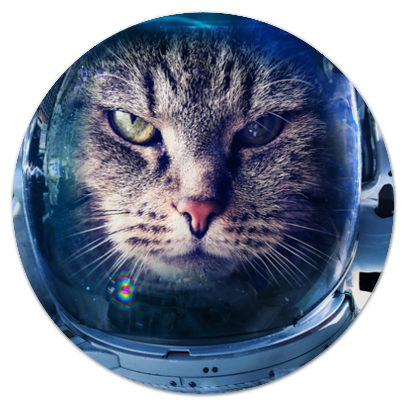 цена Printio Коврик для мышки (круглый) Кот в космосе