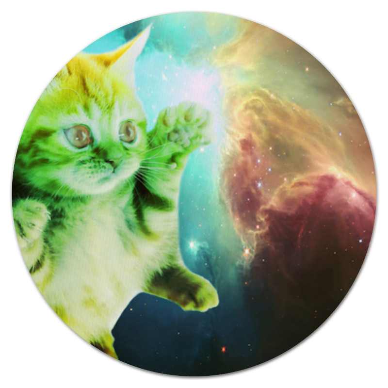Printio Коврик для мышки (круглый) кот в космосе printio коврик для мышки круглый кошки в космосе