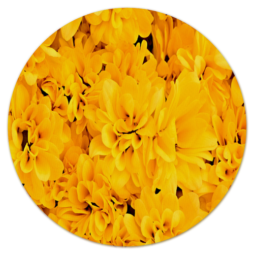 Заказать коврик для мышки в Москве. Коврик для мышки (круглый) Желтые цветы от THE_NISE  - готовые дизайны и нанесение принтов.