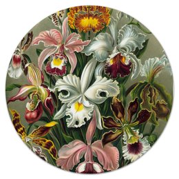Заказать коврик для мышки в Москве. Коврик для мышки (круглый) Орхидеи (Orchideae, Ernst Haeckel) от Apfelbaum - готовые дизайны и нанесение принтов.