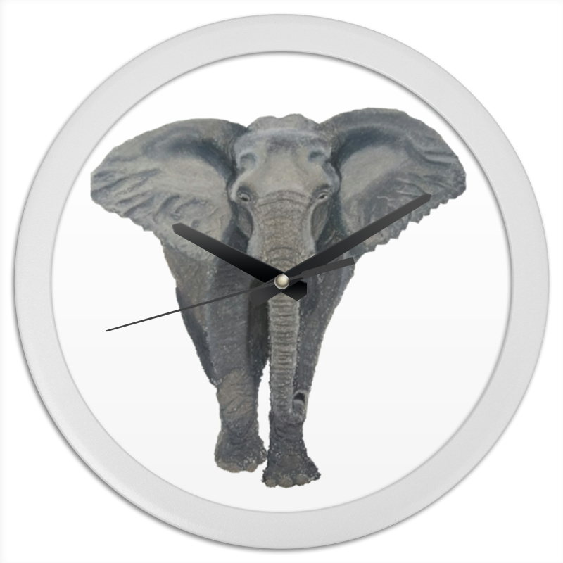 Printio Часы круглые из пластика Слон африканский printio часы круглые из пластика черный слон