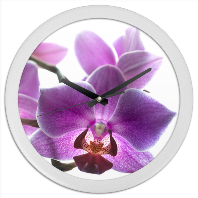 Printio Часы круглые из пластика Орхидея printio часы круглые из пластика красный цветок