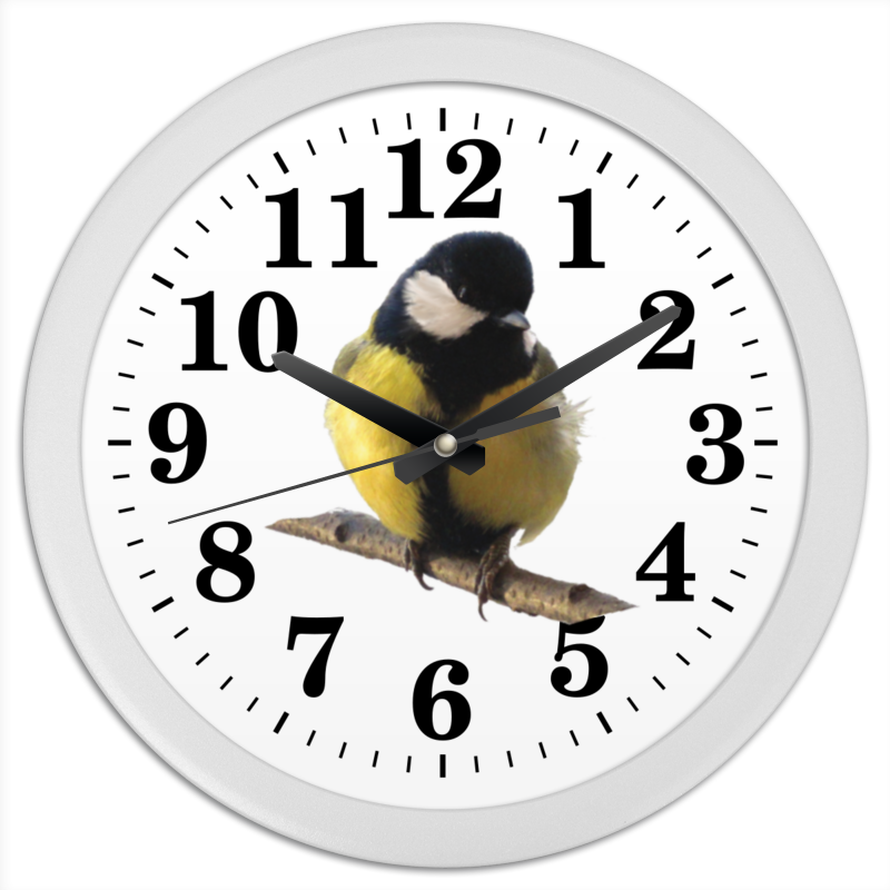 шнуровки и липучки часы с кукушкой Printio Часы круглые из пластика Птица синица