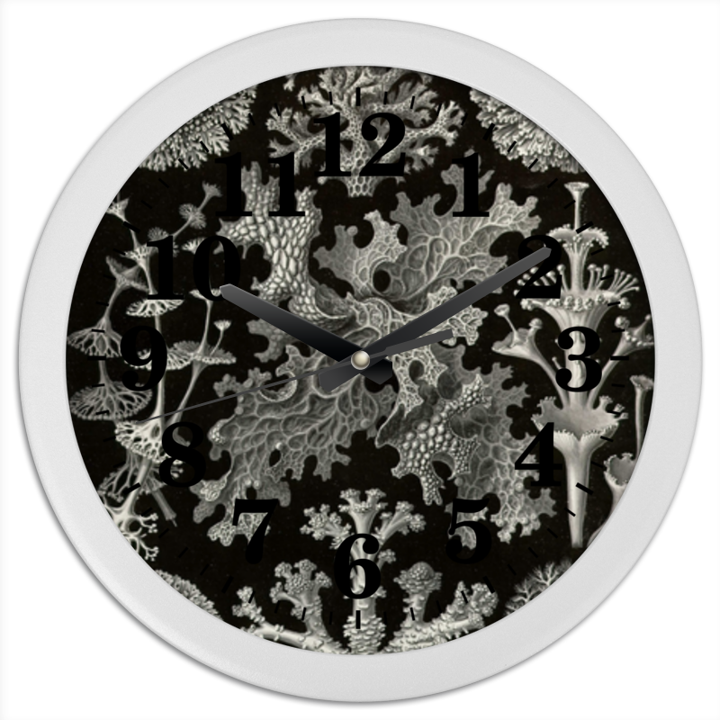 Printio Часы круглые из пластика Лишайники (lichenes, ernst haeckel) printio коробка для футболок лишайники lichenes ernst haeckel