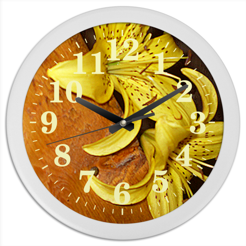 printio часы круглые из пластика время киви Printio Часы круглые из пластика Время солнца.
